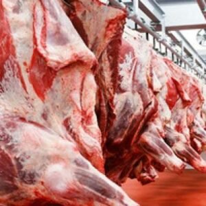 Frozen Foods and Meat Products