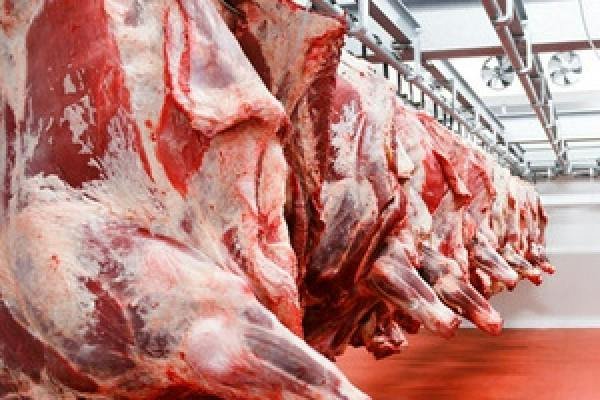 Frozen Foods and Meat Products