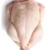 frozen chicken breast instant pot