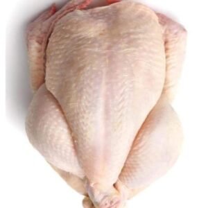 frozen chicken breast instant pot